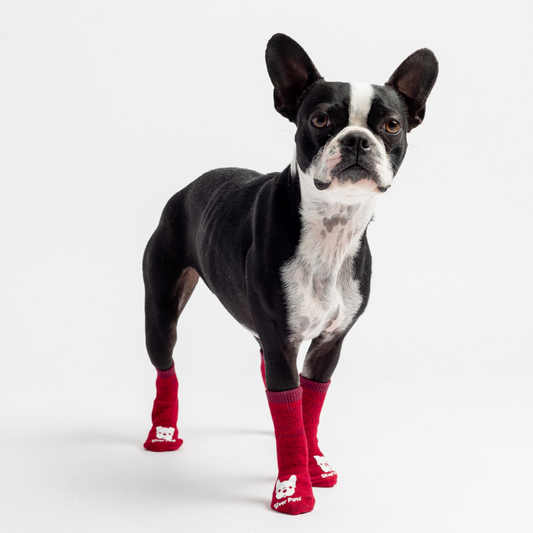 🧦 Red Compression Dog Socks – Anti-Skid, Supportive & Cozy Paw