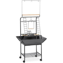 Prevue Pet Small Parrot Playst and 3181